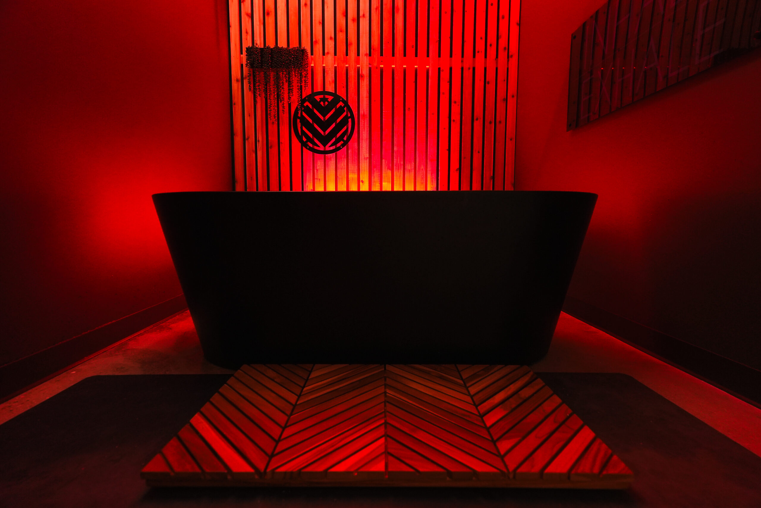 Saunava_Sauna_Cold-Plunge_Caledonia-Michigan-21